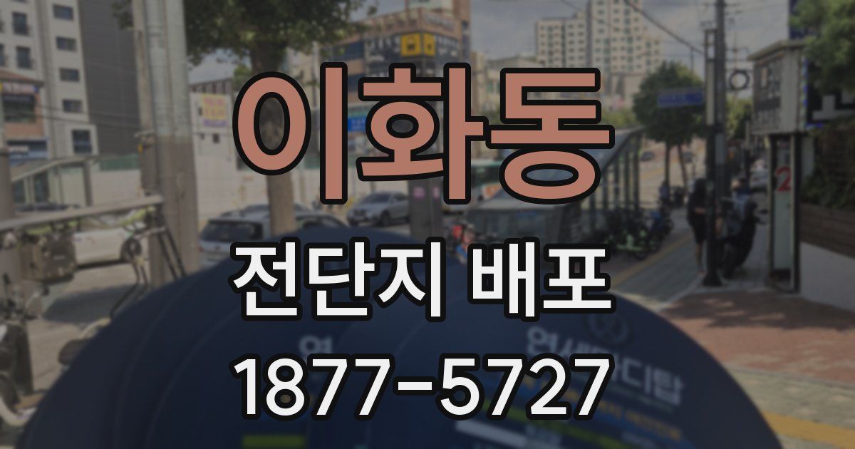 이화동 전단지 배포