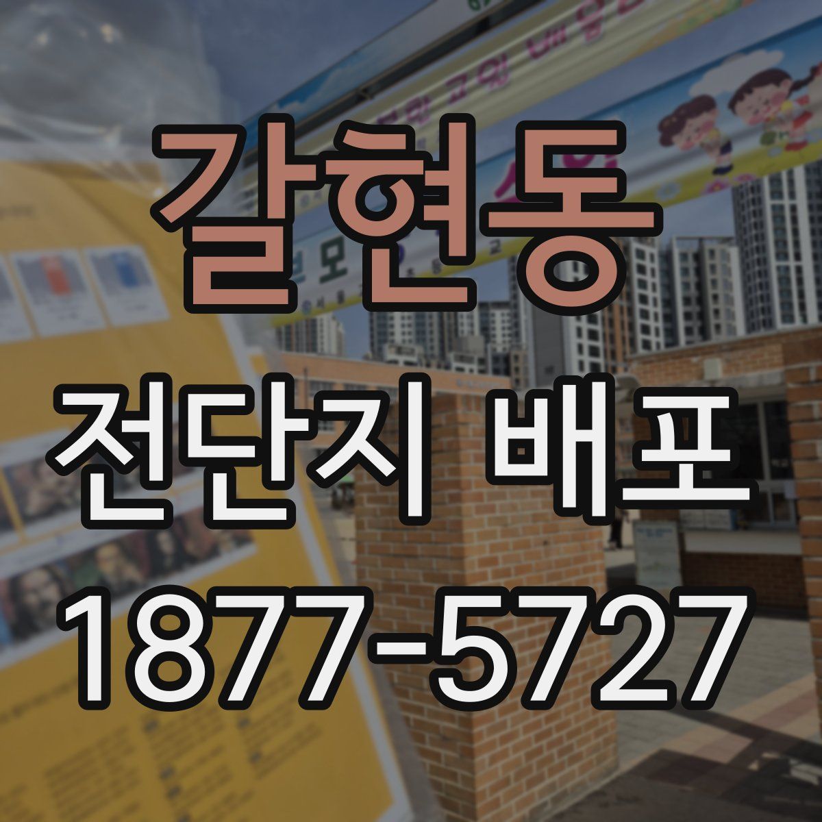 갈현동 전단지 배포