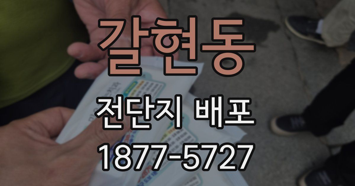 갈현동 전단지 배포