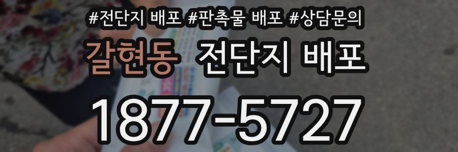 갈현동 전단지 배포