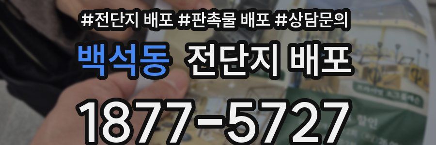 백석동 전단지 배포