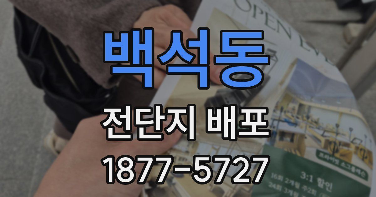 백석동 전단지 배포