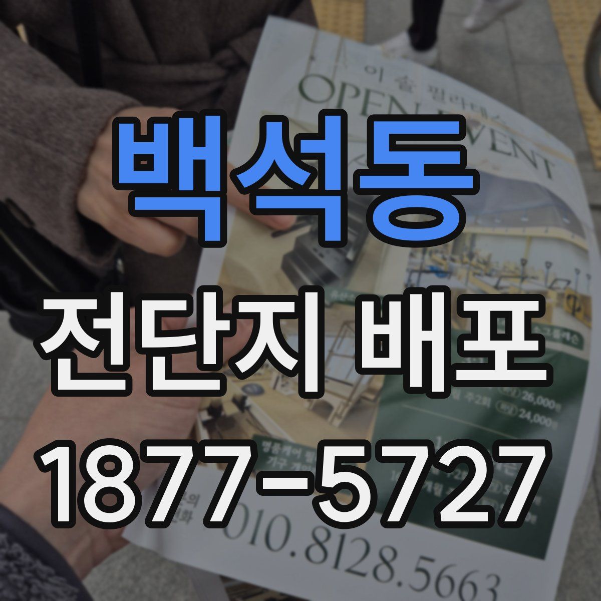 백석동 전단지 배포