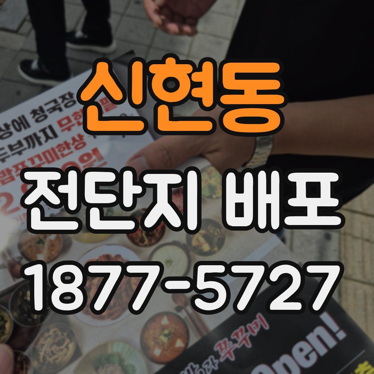 신현동 전단지 배포
