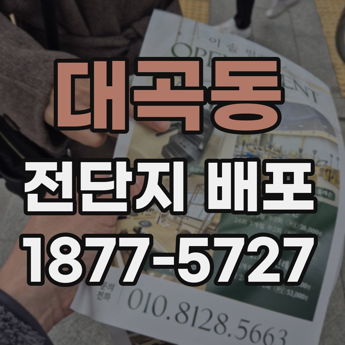대곡동 전단지 배포
