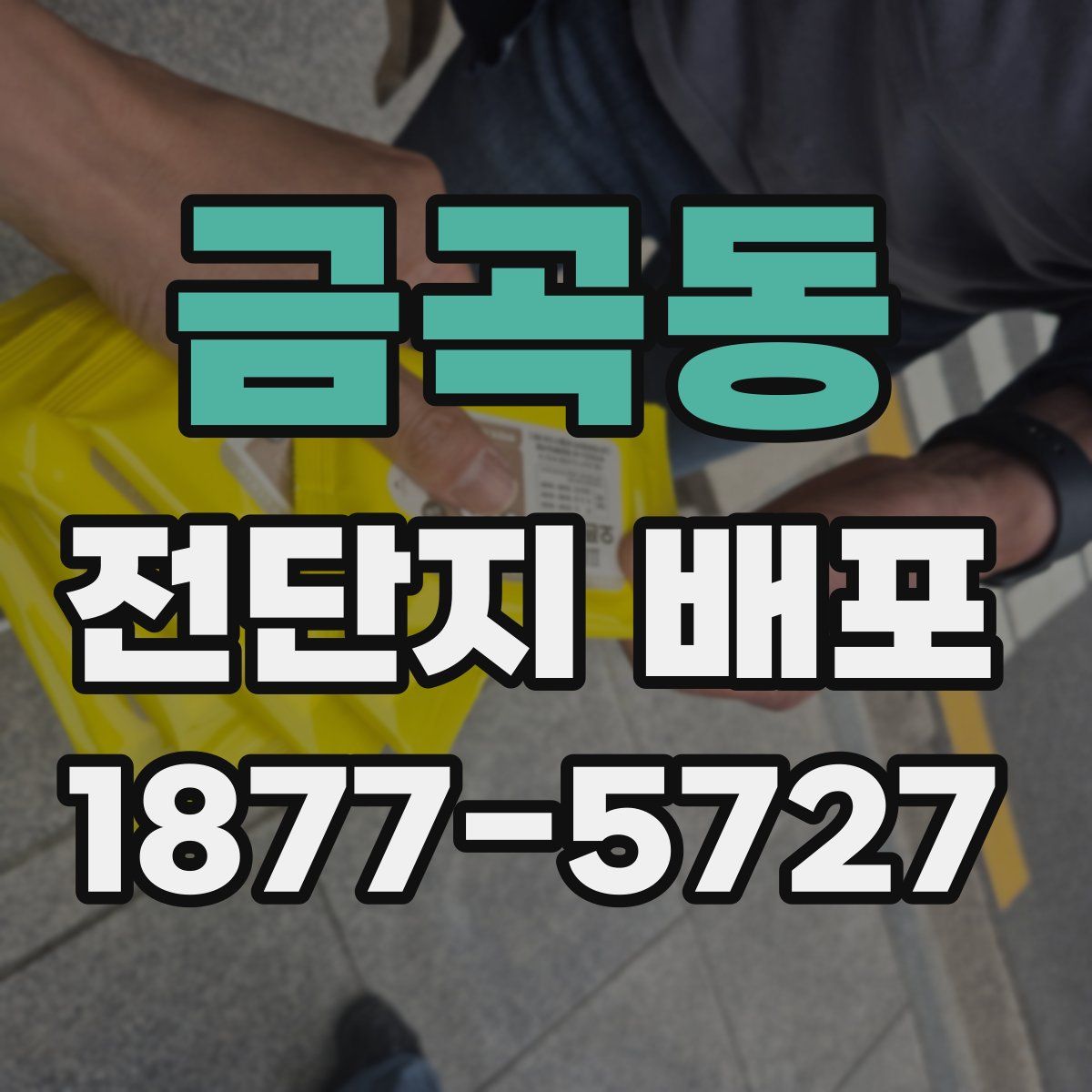 금곡동 전단지 배포