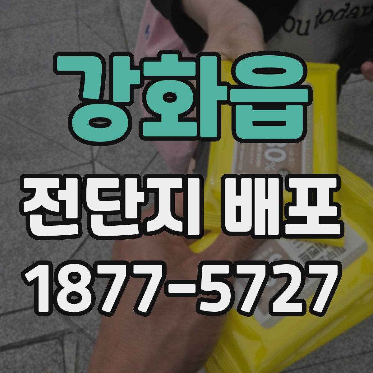 강화읍 전단지 배포