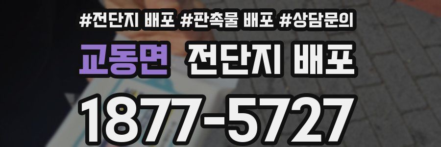 교동면 전단지 배포
