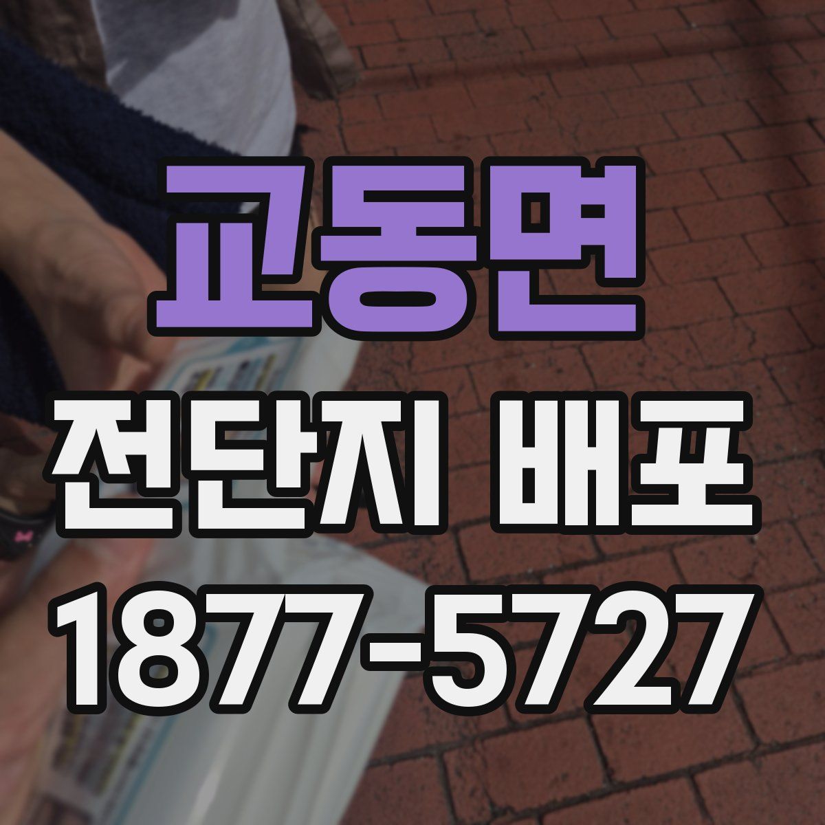 교동면 전단지 배포