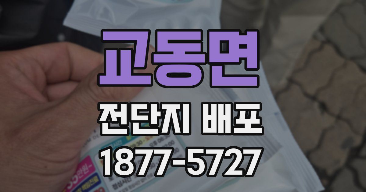 교동면 전단지 배포