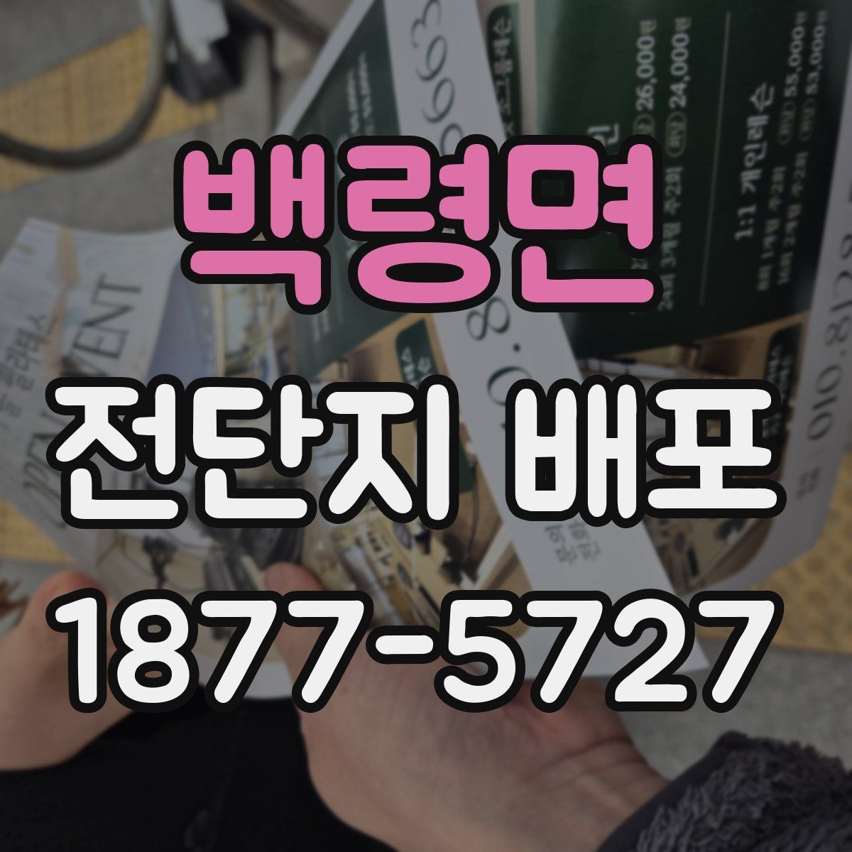 백령면 전단지 배포