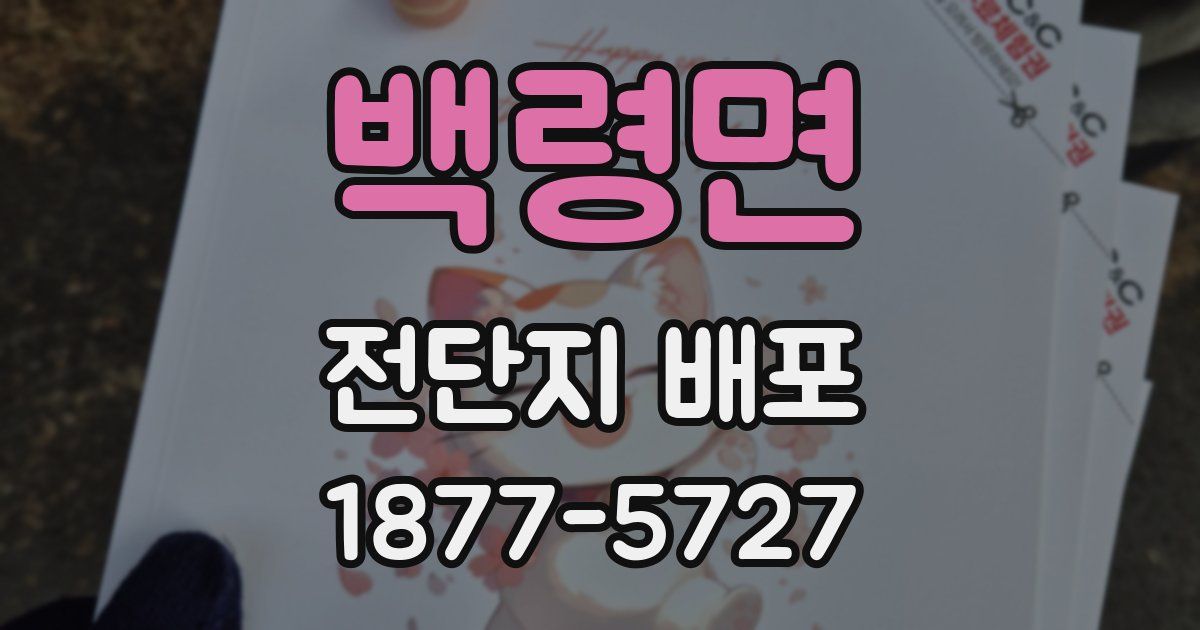 백령면 전단지 배포