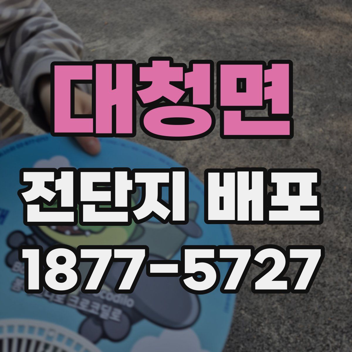 대청면 전단지 배포