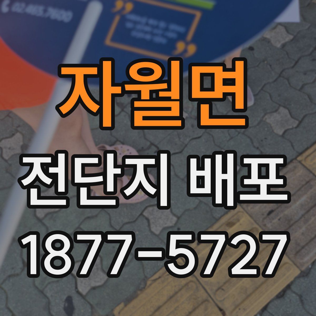 자월면 전단지 배포