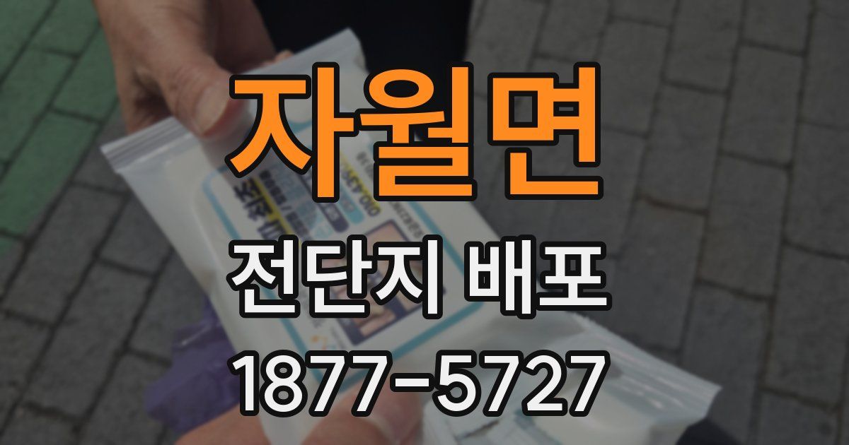 자월면 전단지 배포