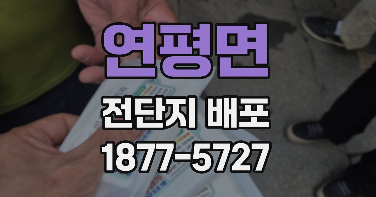 연평면 전단지 배포