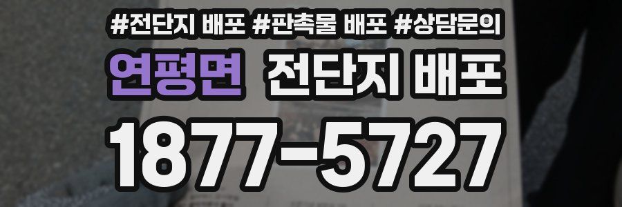 연평면 전단지 배포