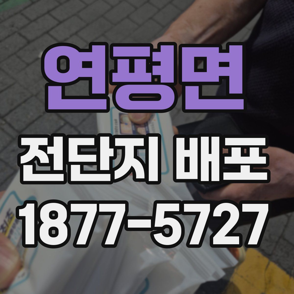 연평면 전단지 배포