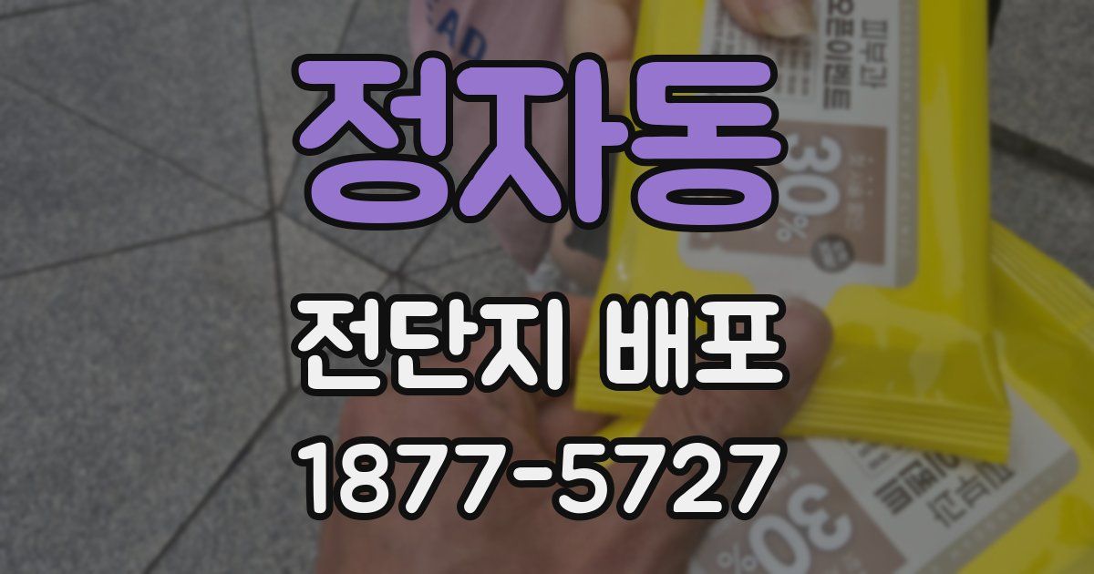 정자동 전단지 배포