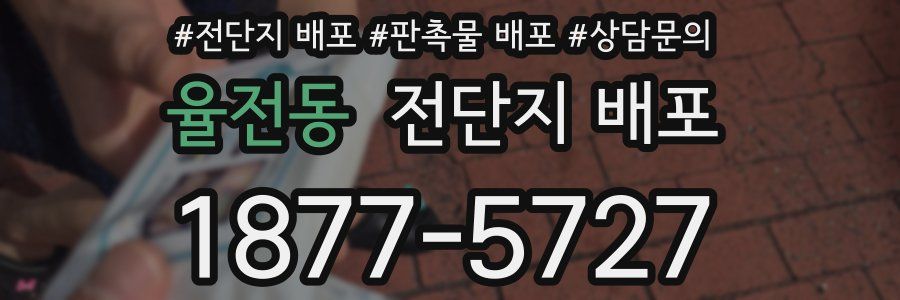 율전동 전단지 배포