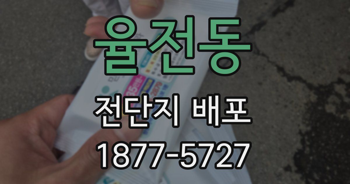 율전동 전단지 배포