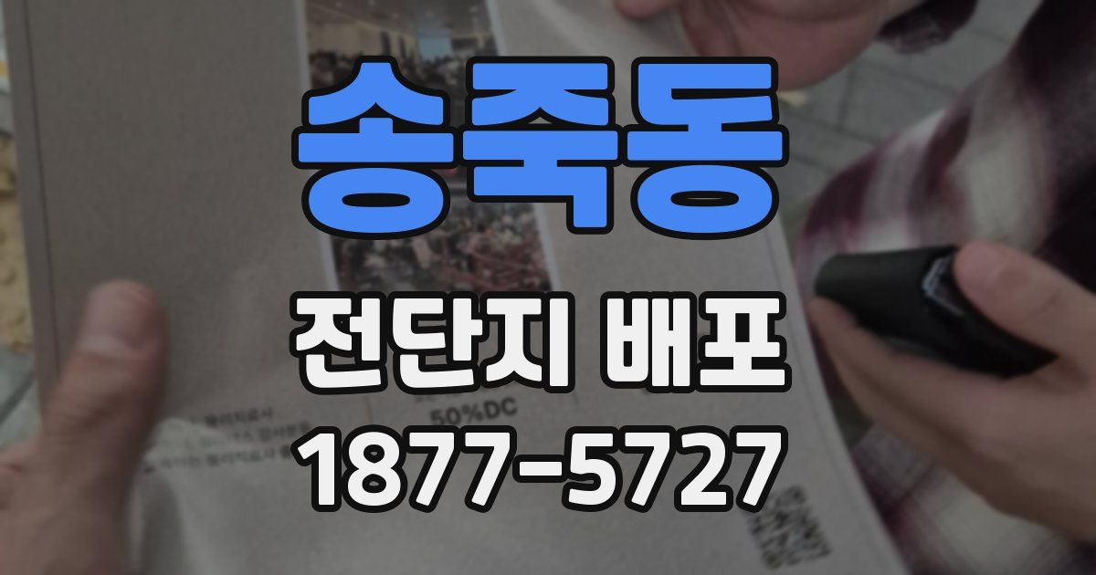 송죽동 전단지 배포