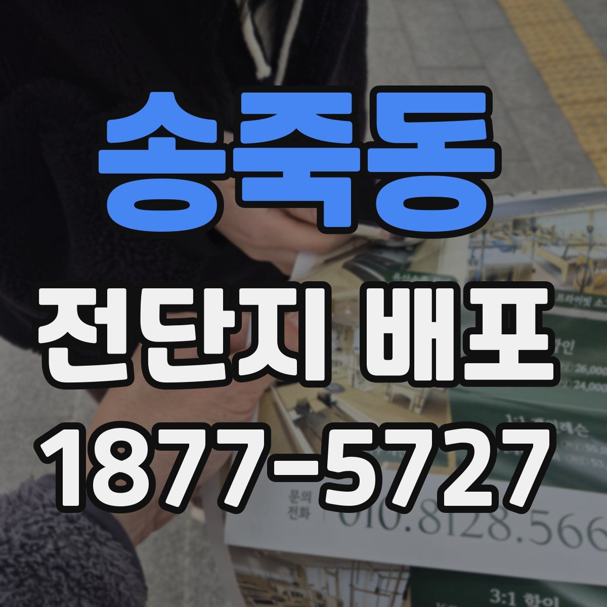 송죽동 전단지 배포