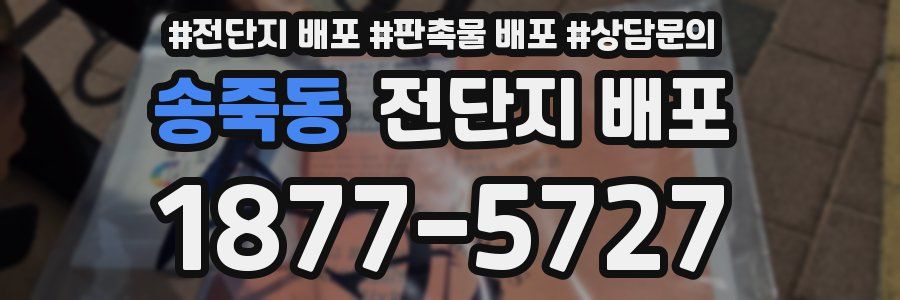 송죽동 전단지 배포