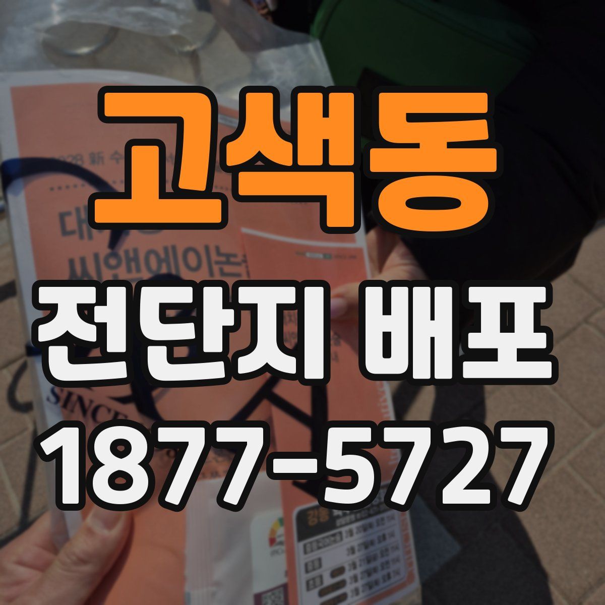 고색동 전단지 배포