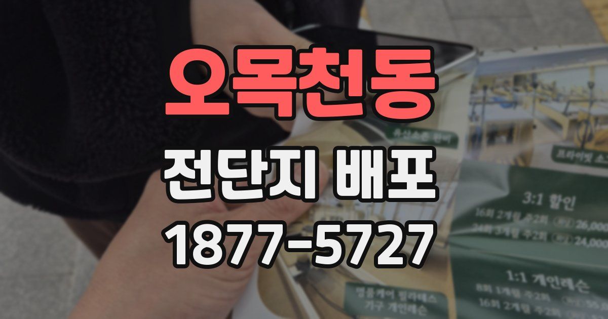 오목천동 전단지 배포