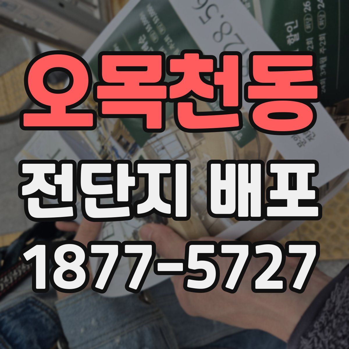 오목천동 전단지 배포