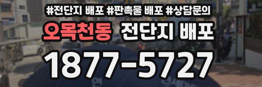 오목천동 전단지 배포
