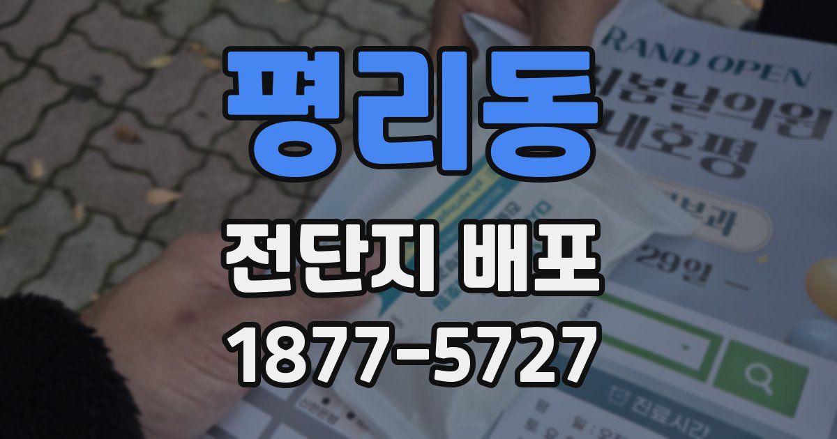 평리동 전단지 배포