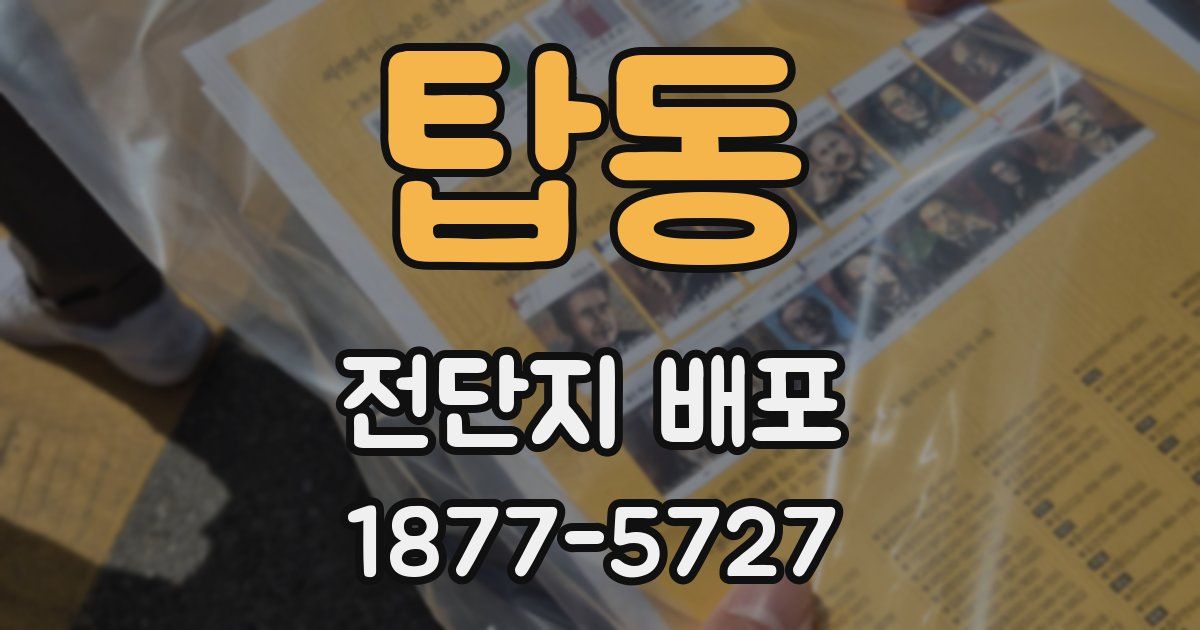 탑동 전단지 배포