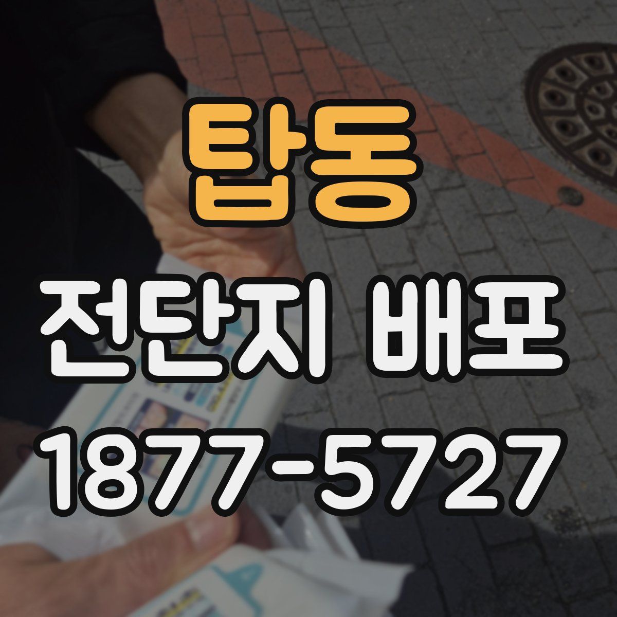 탑동 전단지 배포