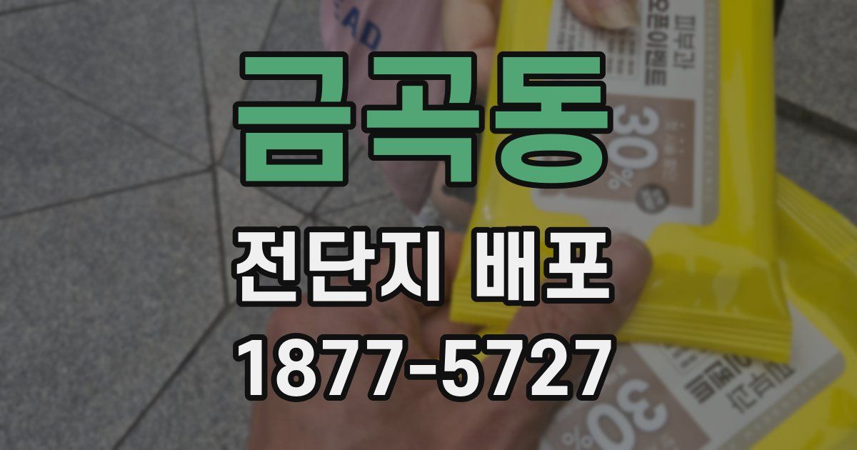 금곡동 전단지 배포