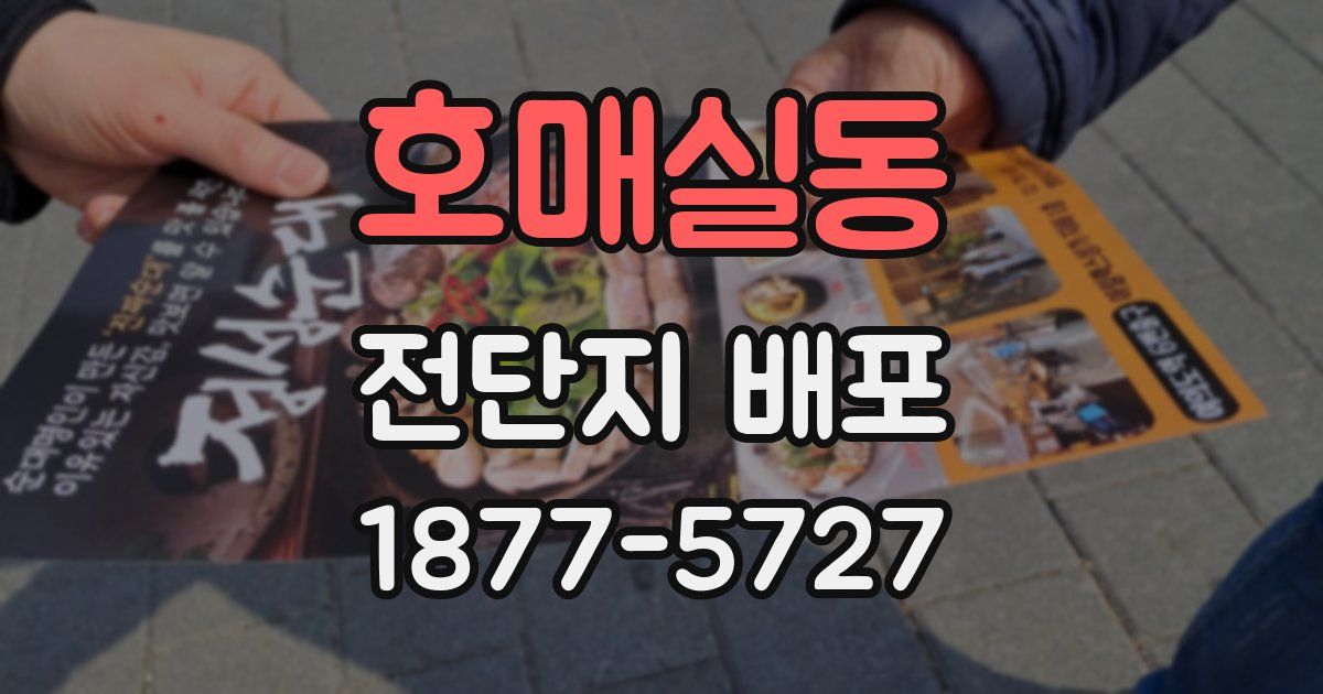 호매실동 전단지 배포