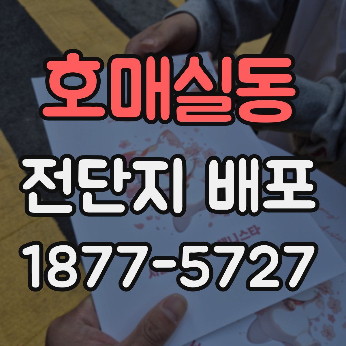 호매실동 전단지 배포