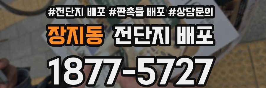장지동 전단지 배포