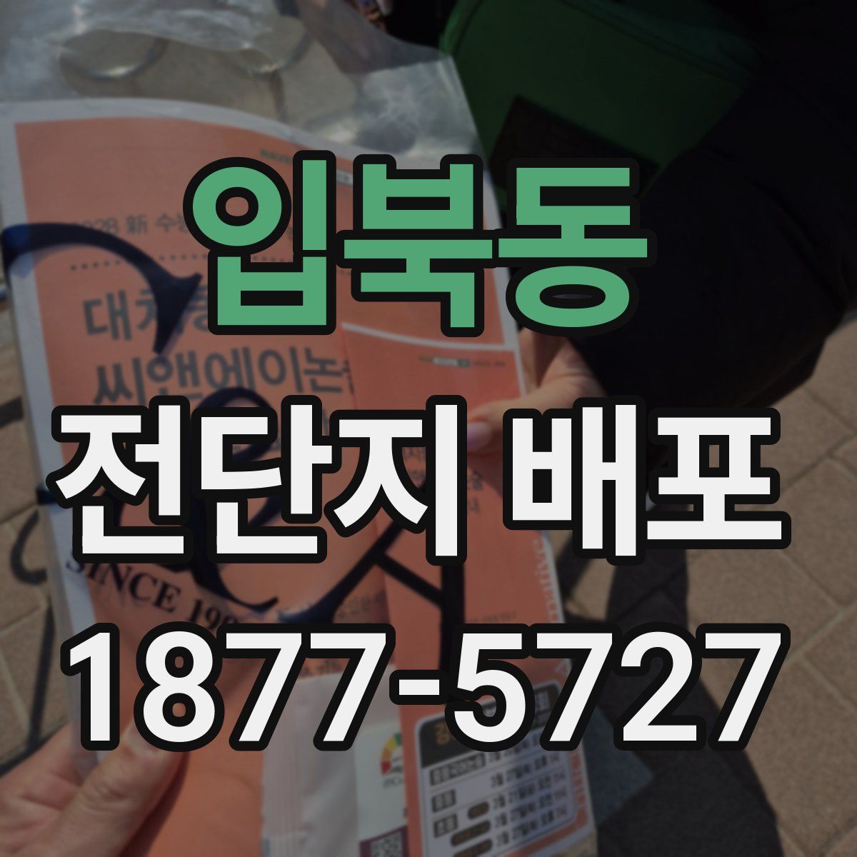 입북동 전단지 배포
