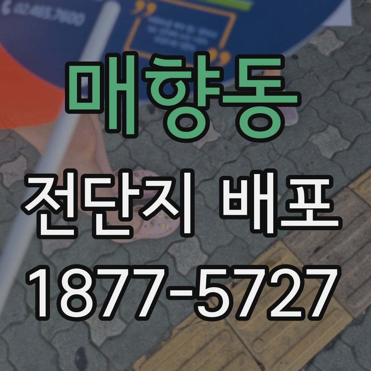 매향동 전단지 배포