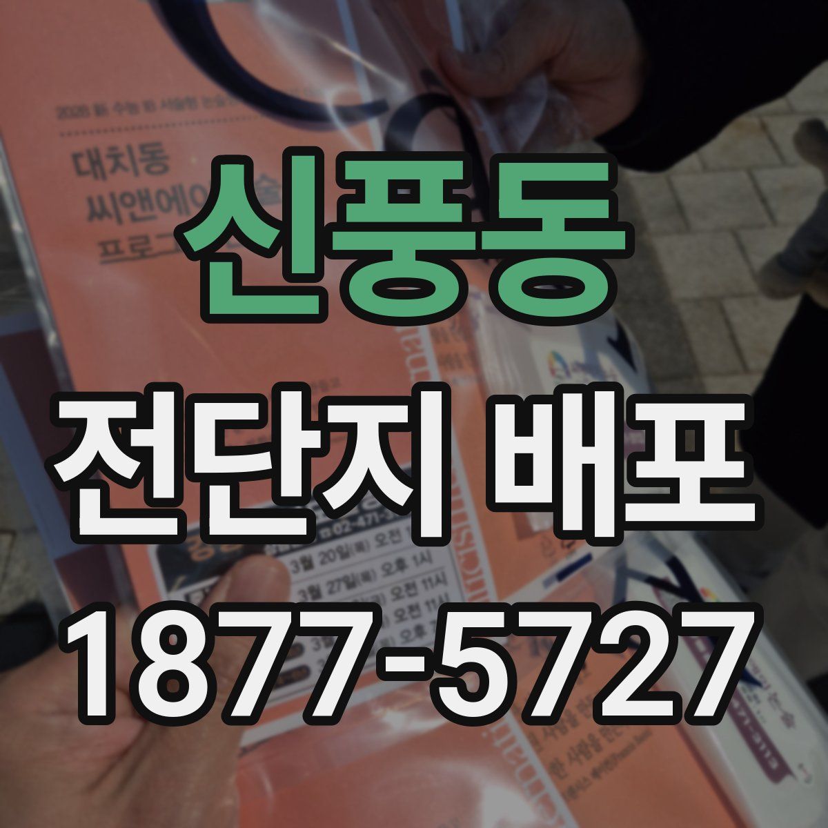 신풍동 전단지 배포