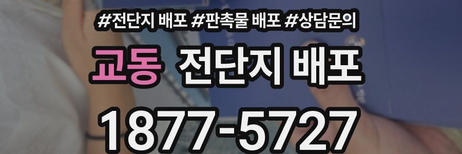 교동 전단지 배포