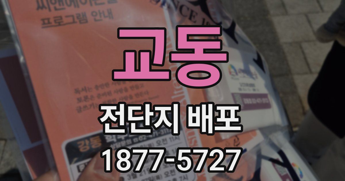 교동 전단지 배포