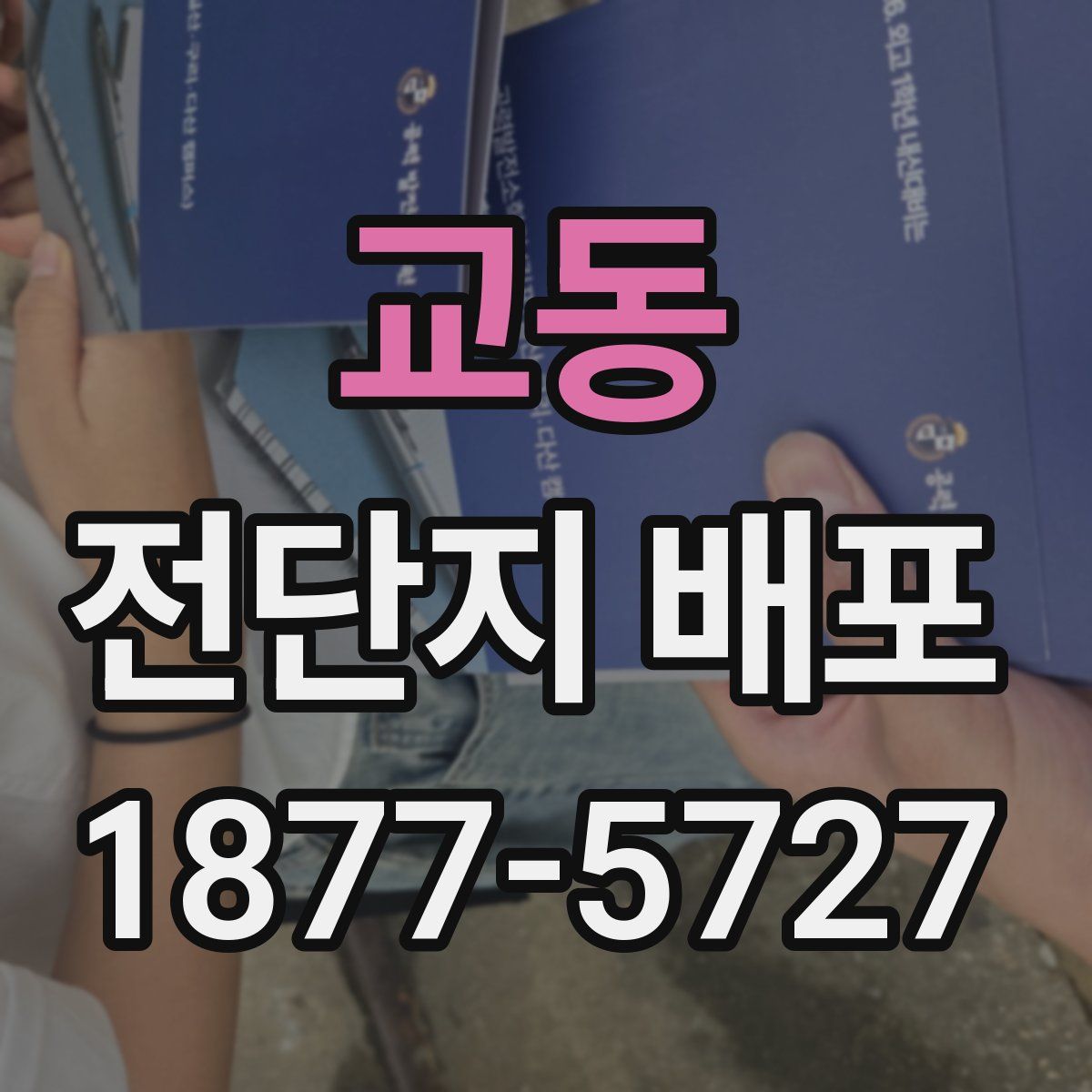 교동 전단지 배포