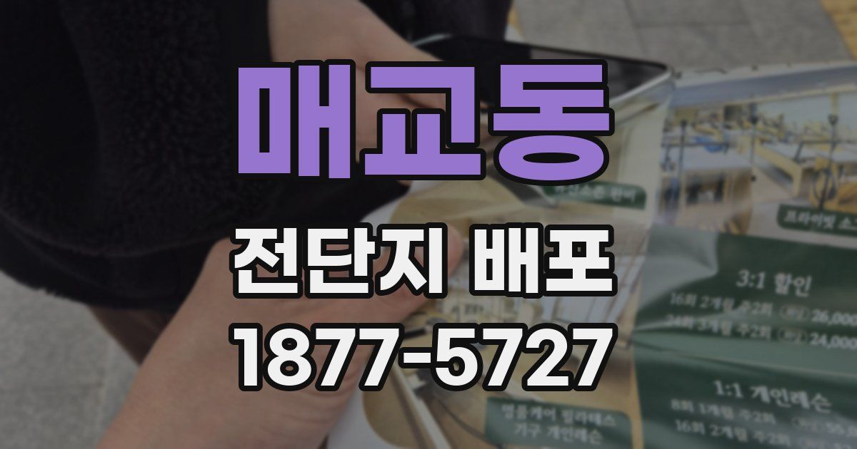 매교동 전단지 배포
