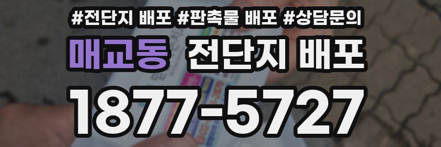 매교동 전단지 배포