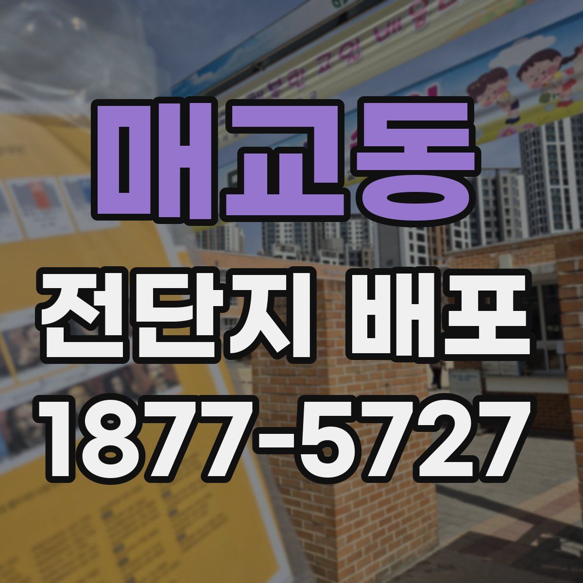 매교동 전단지 배포