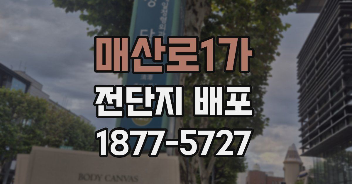 매산로1가 전단지 배포