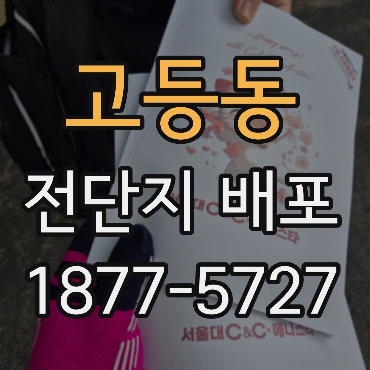 고등동 전단지 배포